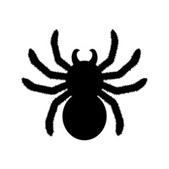 Black big scary spider isolated on white background. Spooky halloween decoration element for your design. Silhouette of a tarantula spider. Animal clipart vector design illustration.