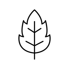 Leaf, herb icon