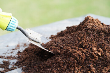 Peat moss, fertilizer soil for organic agriculture, plant growing, ecology concept. - obrazy, fototapety, plakaty