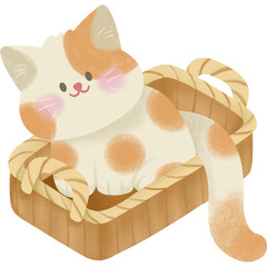 Cat basket