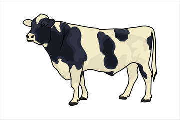 Dairy Farm and Cow Illustration with white background stock vector