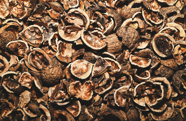 Abstract background. A lot of empty walnut shells.