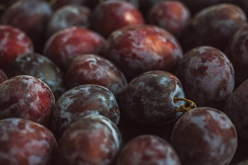 Fresh plums on the table, close-up