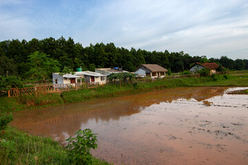 A beautiful rural home of Jhargram West Bengal with flowers in foreground and blue sky and white clouds in background. Rural village house of India.