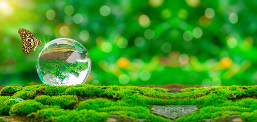 World environment day concept.Globe Glass with butterfly. circular economy renewable energy ....