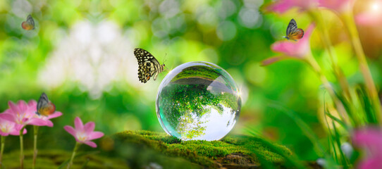 World environment day concept. Globe Glass with butterfly. sustainable development for Environment...