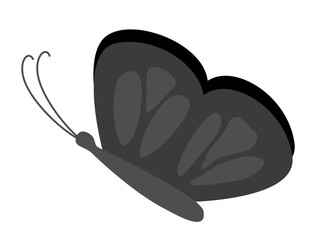 Isolated of a black butterfly, flat vector illustration.