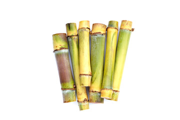 Sugar cane on blue background.