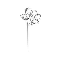 One Line Vector Drawing of Flower. Botanical Modern Single Line Art, Aesthetic Contour. Perfect for Home Decor, Wall Art Posters, or t-shirt Print, Mobile Case. Continuous Line Drawing 