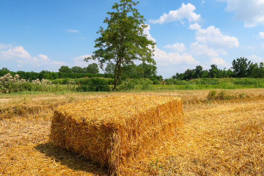 Bales hay panorama landscape sun light strong contrast Po Valley