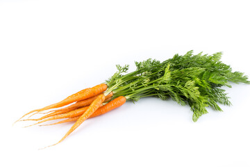 fresh carrots isolated on white background