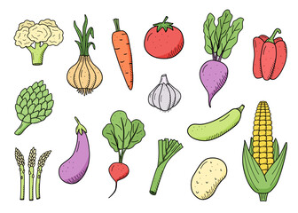 Collection of colored drawing vegetables in doodle style. A set of vector illustrations of the harvest corn potatoes carrots radishes beets garlic onions tomatoes, etc.
