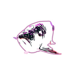 Arowana fish color sketch with transparent background