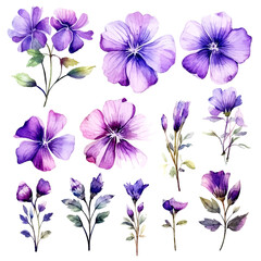 Fototapeta na wymiar Set of purple floral watecolor. flowers and leaves. Floral poster, invitation floral. Vector arrangements for greeting card or invitation design 