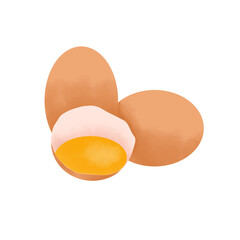 Chicken Egg Illustration