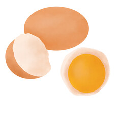 Chicken Egg Illustration