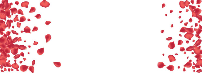 Beautiful Flower Tender Vector Panoramic White