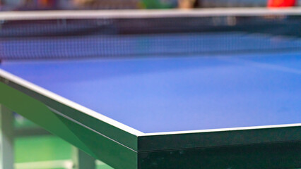 Professional table tennis table and professional table tennis racket