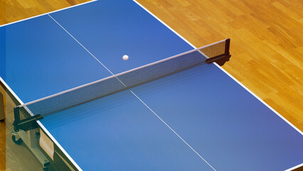 Professional table tennis table and professional table tennis racket