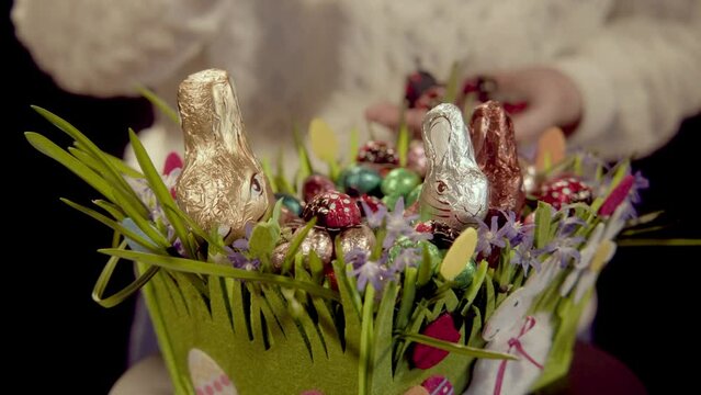 Schokok&auml;fer werden in einen Osterkorb gelegt