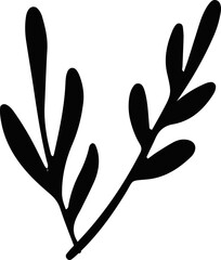 shadow flower flora blossom bloom art doodle