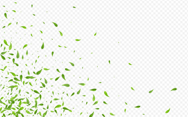 Forest Greens Tree Vector Transparent Background