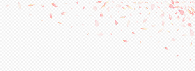 Pink Blooming Vector Panoramic Transparent