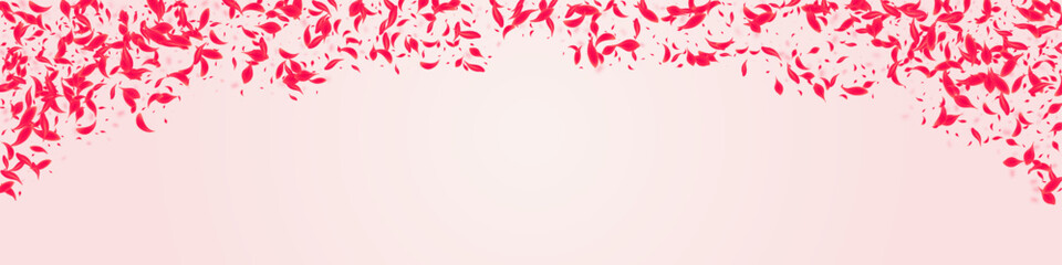 Red Rose Vector Pink Panoramic Background.