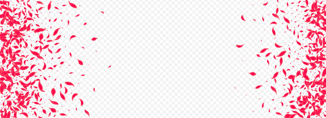 Delicate Petal Vector Transparent Panoramic