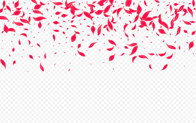 Fototapeta na wymiar Delicate Sakura Vector Transparent Background.