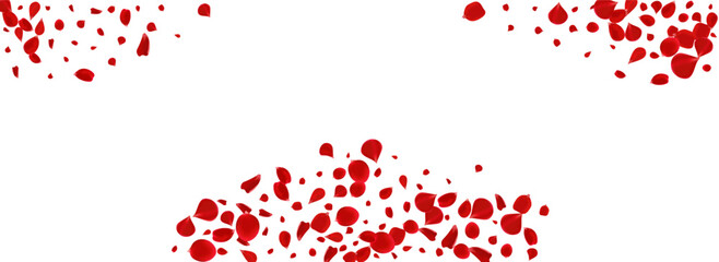 Pink Lotus Spring Vector Panoramic White