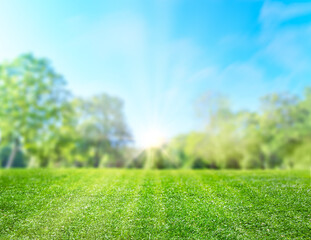 Fototapeta na wymiar natural grass field background with blurred bokeh and sun rays