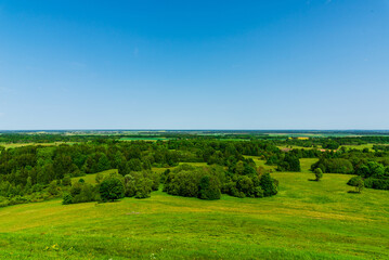 Obraz premium Summer rural lanscape with trees,forest summer clear sky. warm beautiful summer day. Summer background.