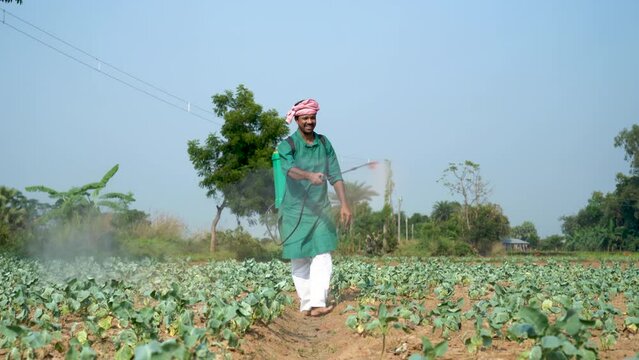  Indian farmer spraying pesticides on crops to promote growth and protect against pests. Happy Kisan of Bharat.