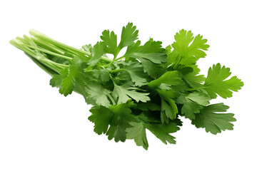 Isolated Coriander on Transparent Background, AI