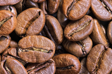 Roasted coffee beans. Macro focus stacking