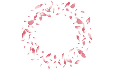Fototapeta na wymiar White Sakura Petal Vector White Background. Color
