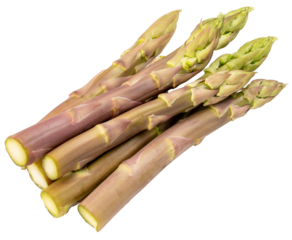 Fresh Asparagus on white background, Purple asparagus on White Background PNG File.