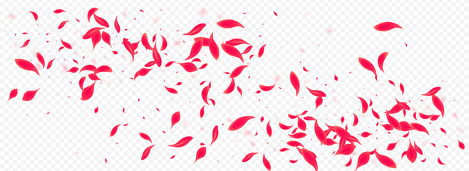 Pink Floral Vector Transparent Panoramic