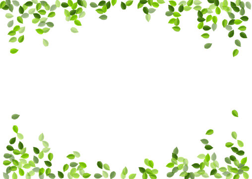 Grassy Leaves Forest Vector Template. Organic