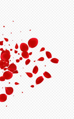 Delicate Peach Japan Vector Transparent