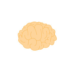 Brilliant Mind: Illustrating the Power of the Brain and Creative Ideas