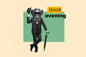 Creative template graphics collage image of friendly chimpanzee head guy wishing good evening...