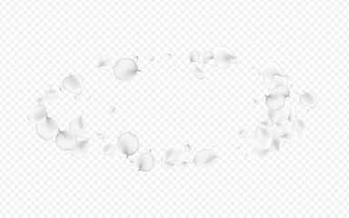 Delicate Petal Vector Transparent Background.