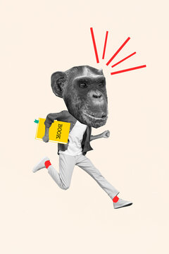Photo artwork collage painting of carefree funny chimpanzee head guy running read book isolated beige color background