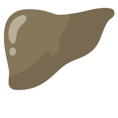 liver organ system healthy cute character cartoon illustration