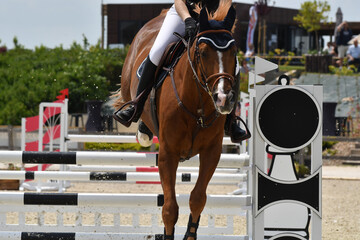 saut d'obstacle dans un concours hippique