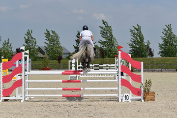 saut d'obstacle dans un concours hippique