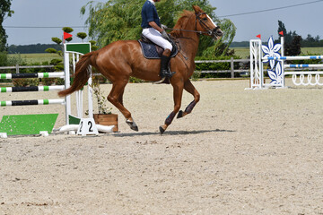 saut d'obstacle dans un concours hippique