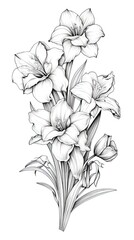 Cute Daffodil flower in coloring page style illustration. Line art painting. Generative AI